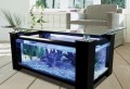 Aquariumtisch - kreative Entscheidung für Ihr Zuhause!