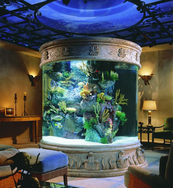 außergewöhnliche-dekoration-aquarium