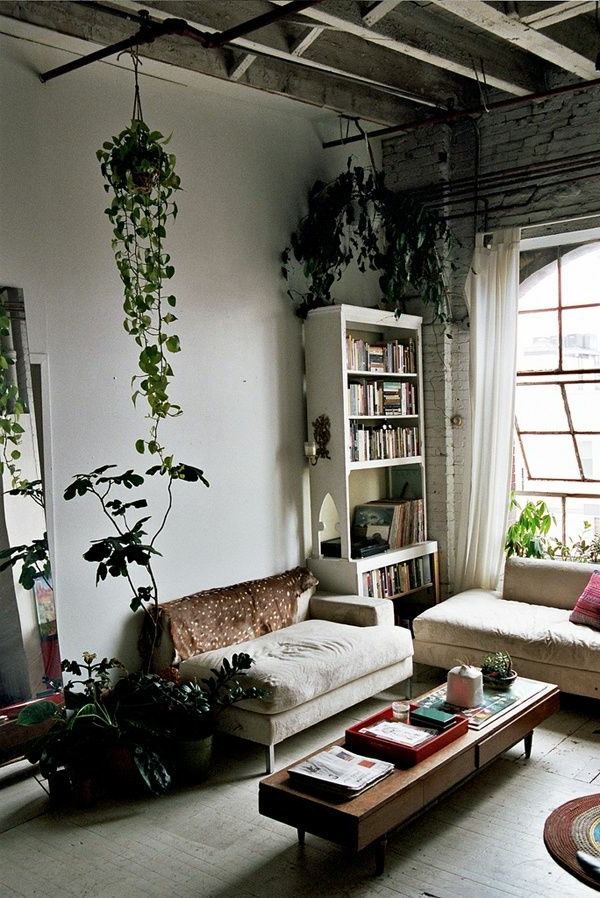 hängende-zimmerpflanzen-wohnzimmer