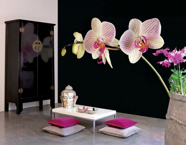 orientalische-dekoration-für-wohnzimmer-weiße-orchideen
