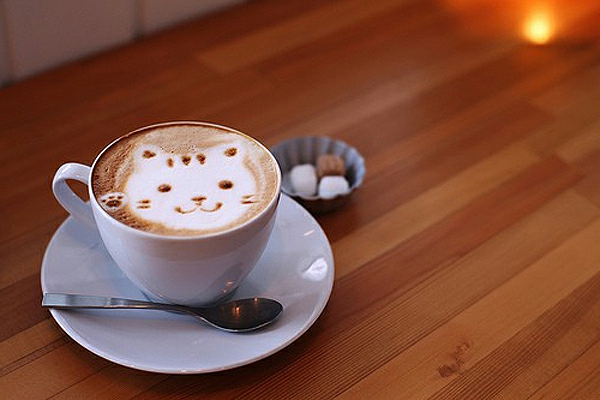 tolle-katze-aus-kaffeschaum