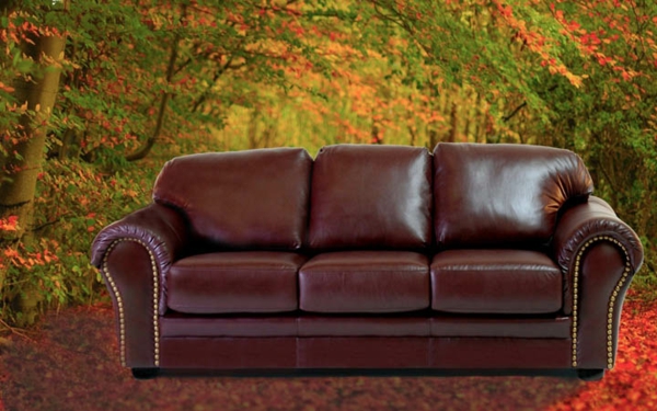 vintage-ledermöbel-ein-schönes-sofa- interessanter hintergrund