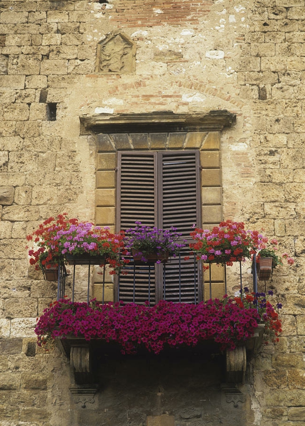 Geländer-für-einen-Balkon-bedeckt-mit-Blumen