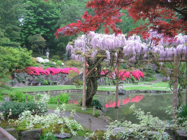 Gärten-in-Japanischem-Stil-blühende-Bäume-in Rosa-und-Lila