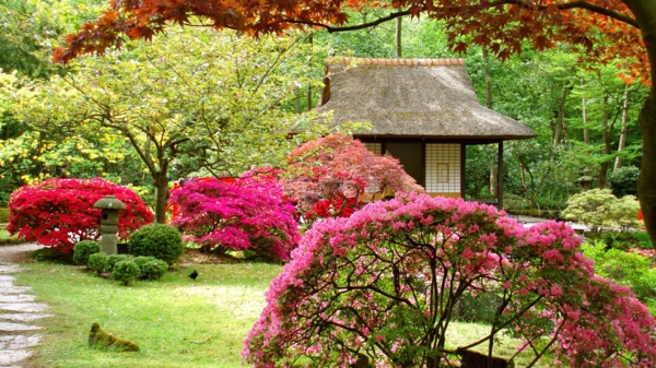 Gärten-in-Japanischem-Stil-im-Frühling-Design-Idee