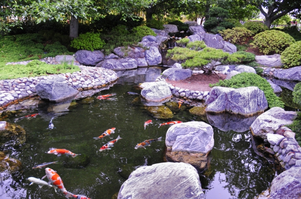 Gärten-in-Japanischem-Stil-mit-Teich-Fische-