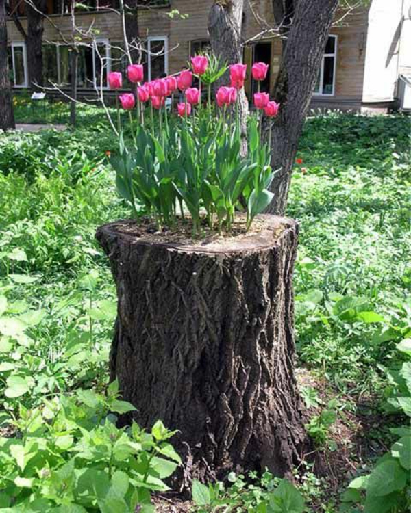 Stamm-mit-Tulpen-im-Garten-Deko-Idee