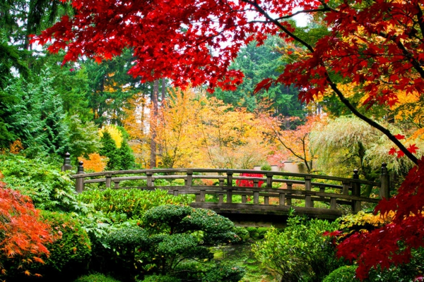 schöner-bunter-Japanischer-Garten-mit-Brücke-