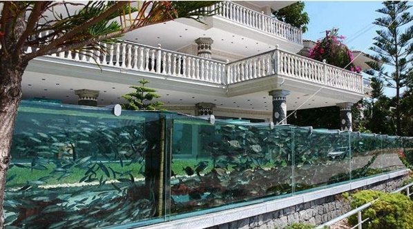 erstaunlicher-Aquarium-Zaun