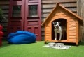 Hundehütte selber bauen - super Ideen!