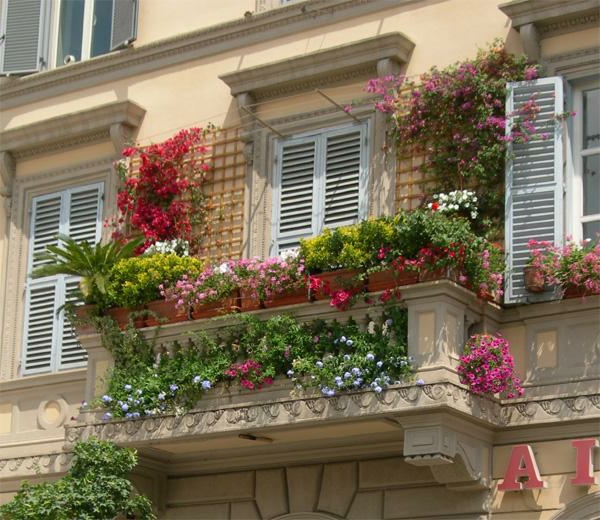 kletterpflanzen-für-balkon-gemütlich-aussehen