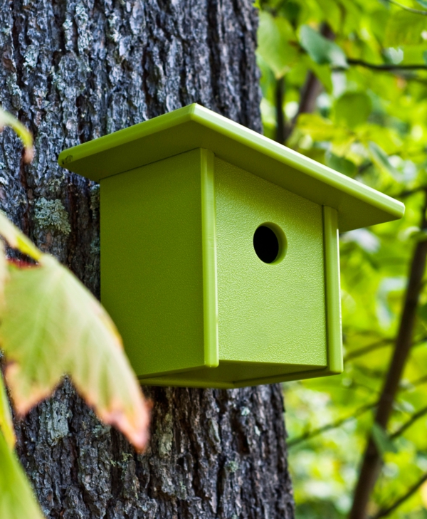 modernes-Futterhaus-für-Vogel-selber-machen-grün