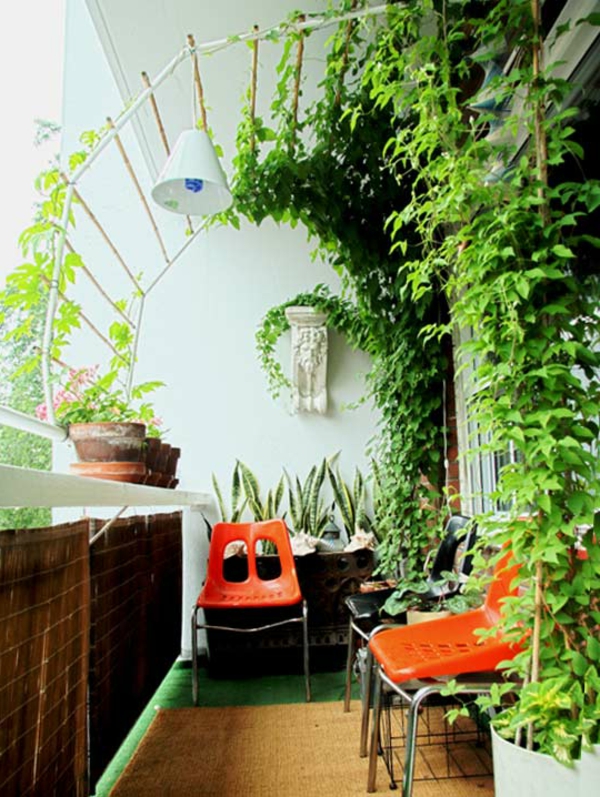 orange-stühle-und-kletterpflanzen-für-balkon