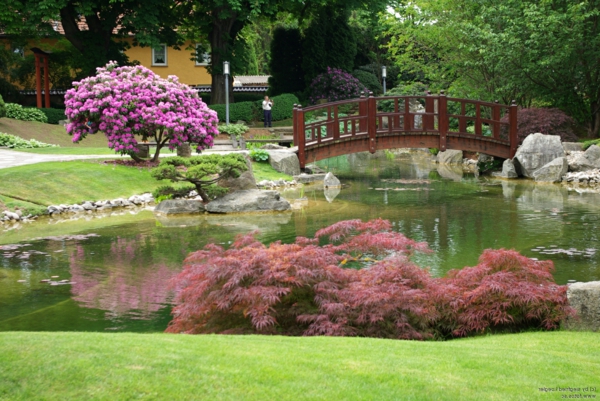 schöner-Japanischer-Garten-mit-Teich