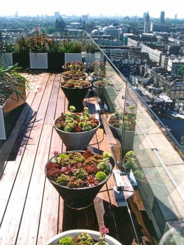 coole-Idee-für-die-Gestaltung-einer-Dachterrasse-mit-Pflanzen