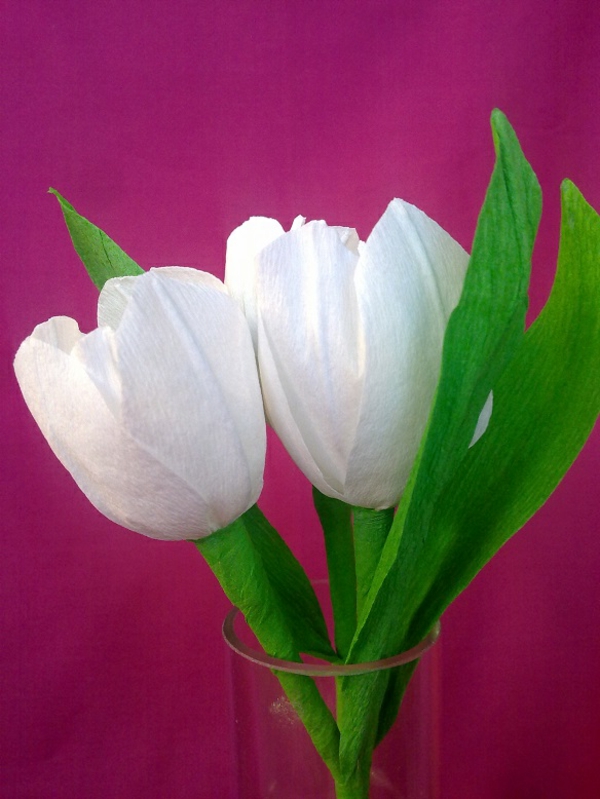 weiße-wunderschöne-tulpen-basteln