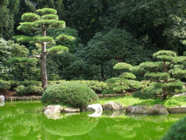 wunderbare--Gärten-in-Japanischem-Stil-Idee