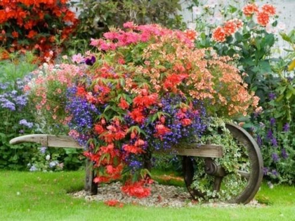 wunderschöne-Blumen-im-Garten