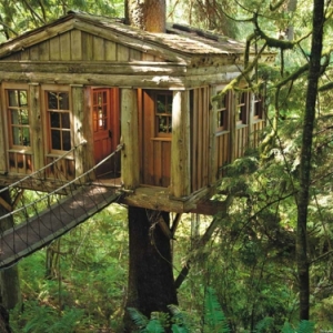 Ein super Baumhaus  - erstaunliche Fotos!