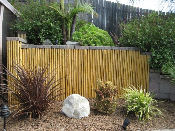 Sichtschutz-Bambus-für-den-Garten-