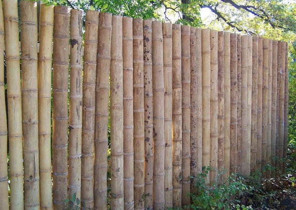 -bambus-sichtschutz-im-garten-Bambus-Sichtschutz-Garten