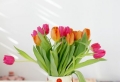 100 tolle Ideen für Tischdeko mit Tulpen!