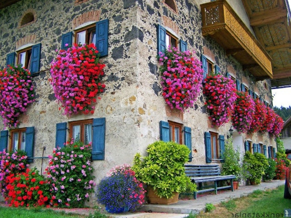 fantastische--Blumenkästen-für-den-Balkon-Fensterdeko