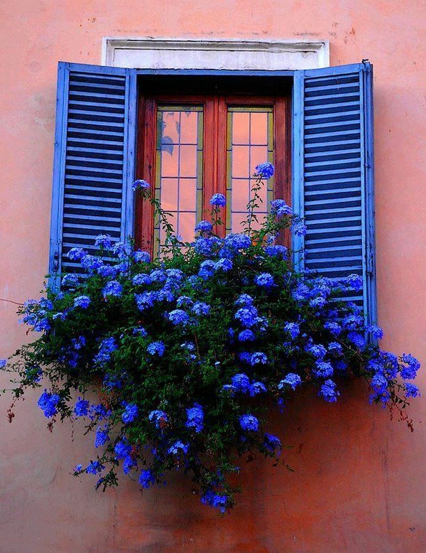 tolle-blaue-Fensterläden-aus-Holz