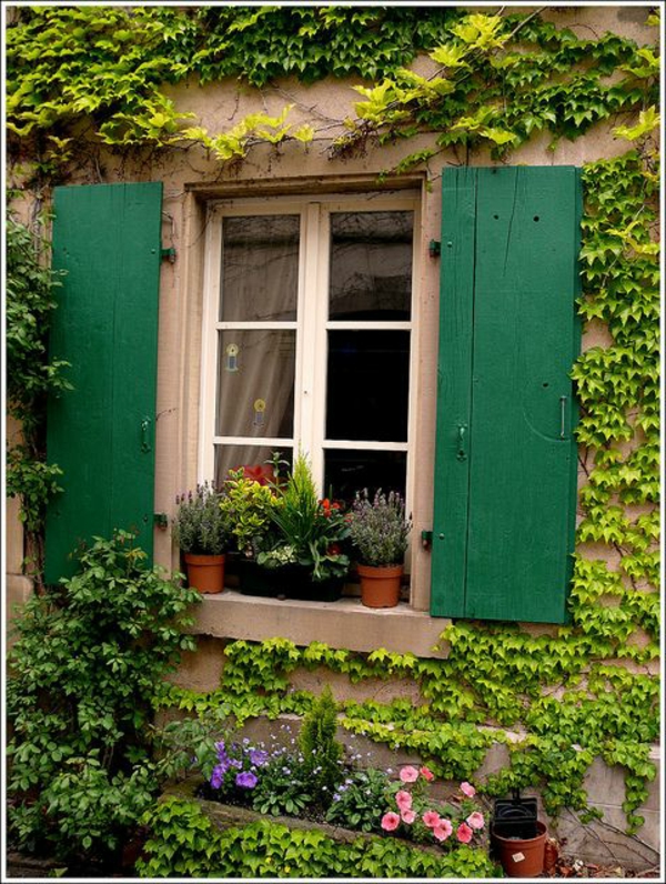 tolle-grüne-Holz-Fensterlaeden