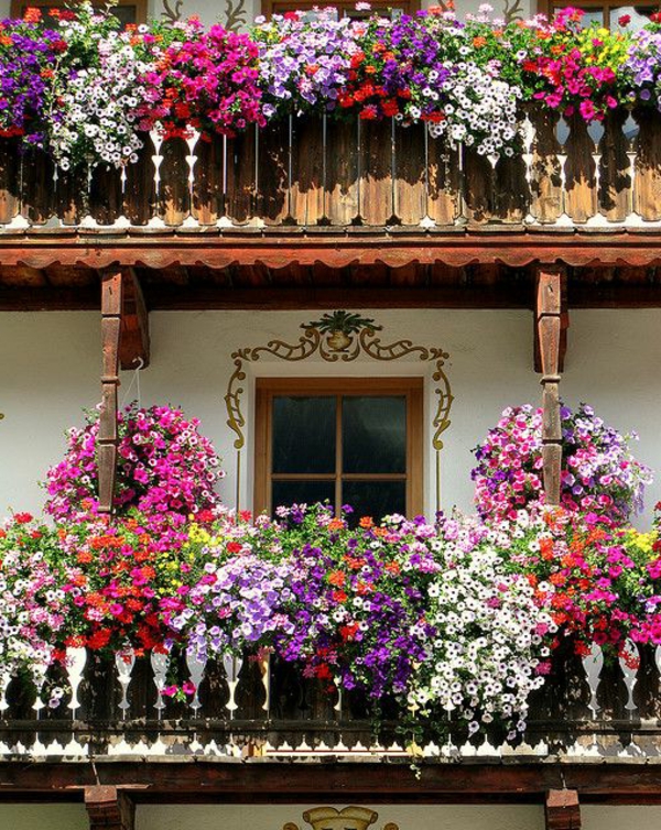viele-Blumenkästen-für-den-Balkon