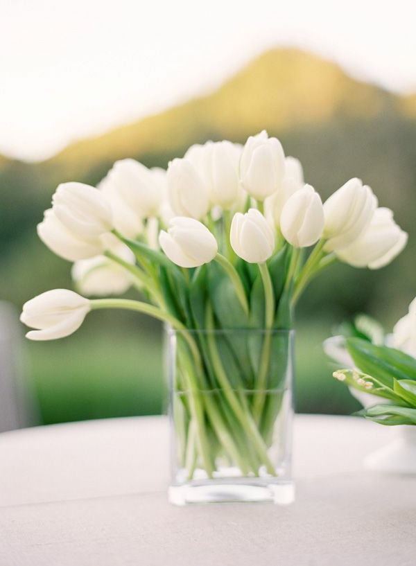 wunderbare-Tischdeko-mit-weißen-Tulpen