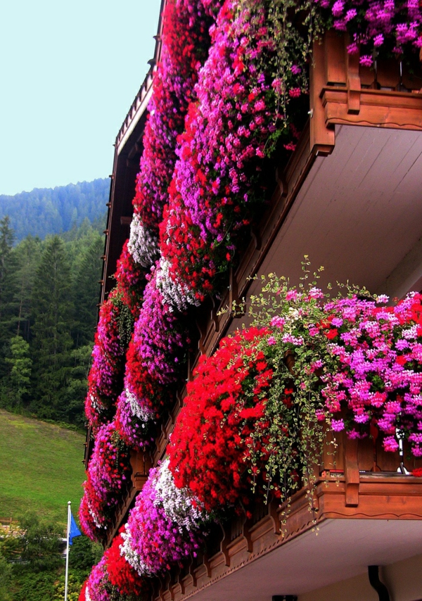 wunderschöne-Blumenkästen-für-den-Balkon-