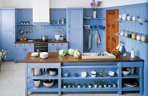 viele regale in einer blauen rustikalen küche