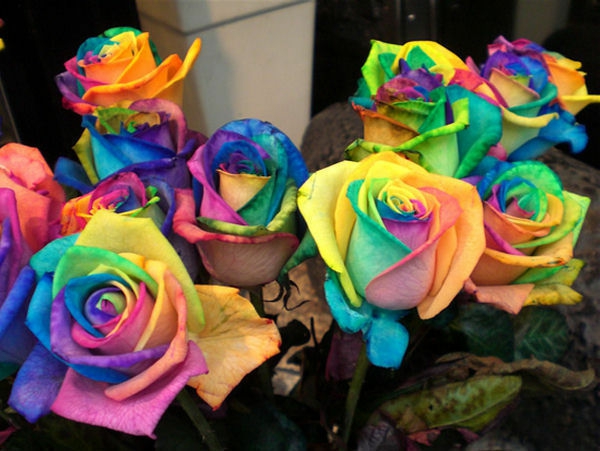 einfache-bastelideen-gefärbte-rosen