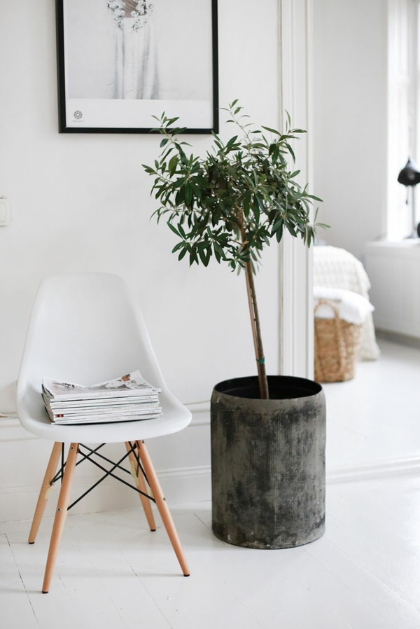 kleiner-Stuhl-grüne-Palme-und-ein-Bild-an-der-Wand