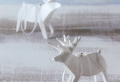 1001+ DIYs für Origami zu Weihnachten - Anleitungen und schöne Fotos