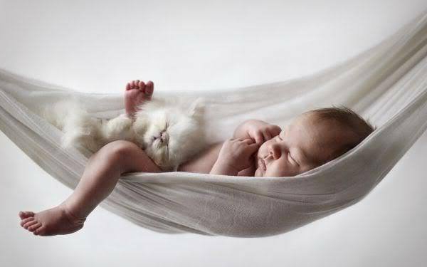 weiße-baby-hängematte-einmaliges-foto-von-einem-süßen-baby-und-einer-katze