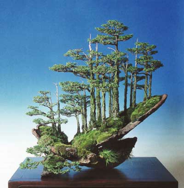 Gruppenbepflanzung-aus-Bonsai-Arten