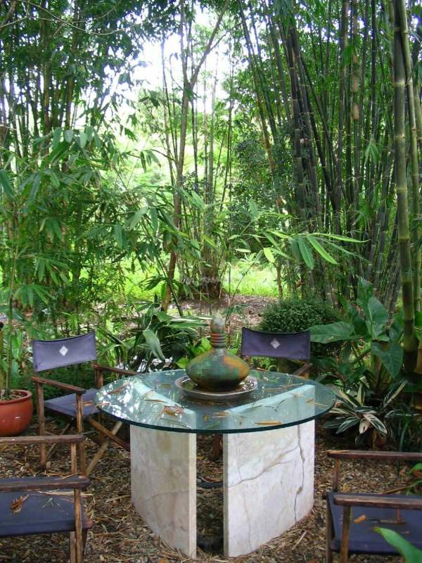 bambus-garten-mit-einem-hölzernen-tisch-und-stühlen