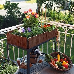 Der eigene Kräutergarten auf Balkon 