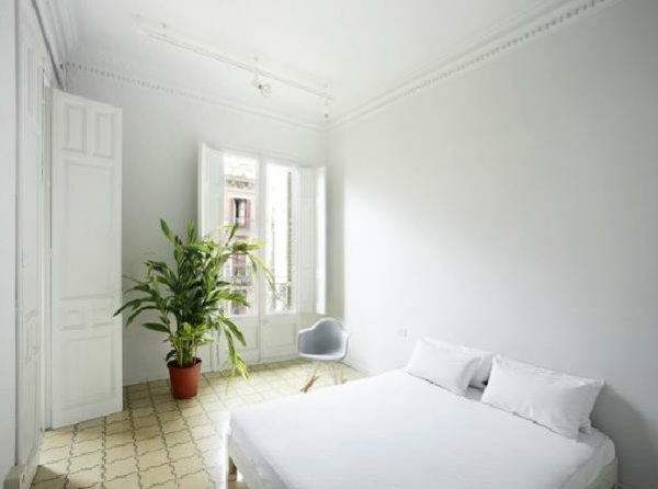 pflanzen-im-schlafzimmer-in-weißer-farbe