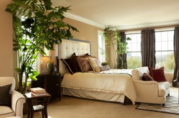 pflanzen-im-schlafzimmer-neben-einem-weißen-bett-mit-dekorativen-kissen