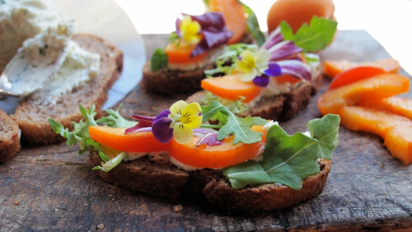 aprioct-and-soft-goats-cheese-tartine-with-violas