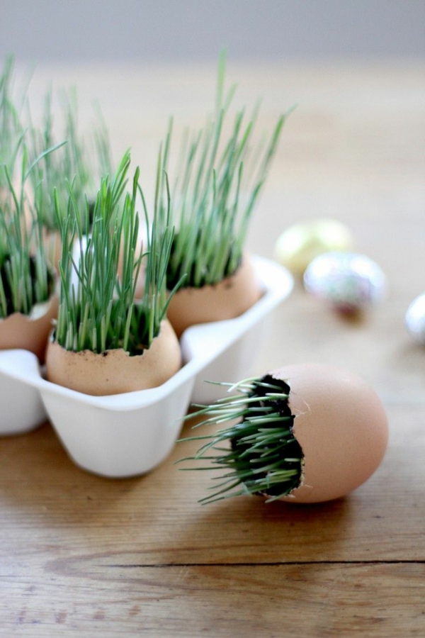 frohe-ostern-bepflanzte-eier- super süße und cooles bild