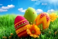 Frohe Ostern! Hier 26 Bilder zum Inspirieren…
