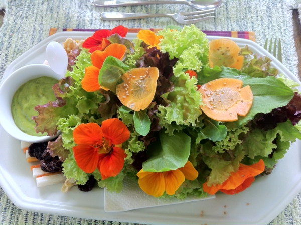 schöne---blumendeko-für-die-salate-blumen-zum-essen