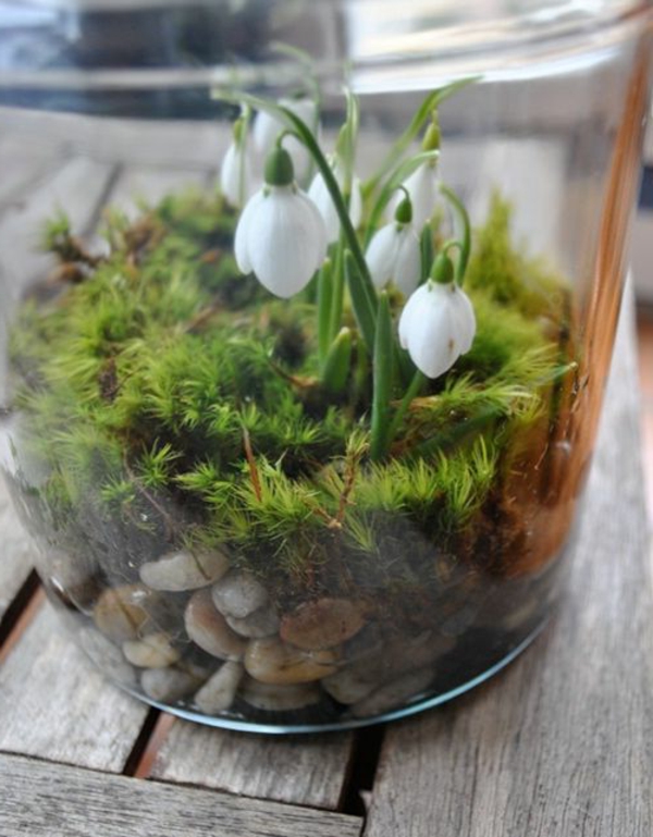 schöne-deko--galanthus-nivalis-amaryllisgewächse-schneeweiße-blume-pflanzen