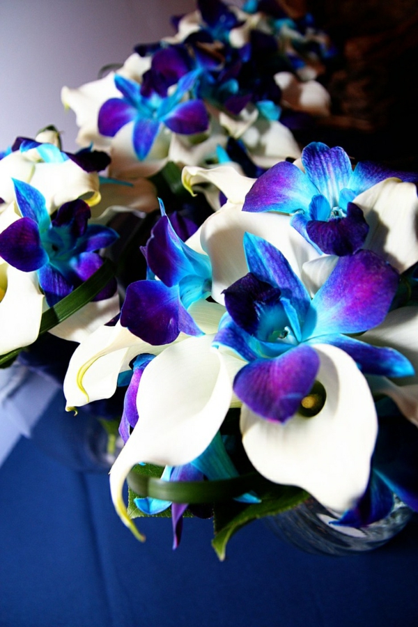 weiße-lilien-blaue-orchideen-hochzeitsdeko-hochzeitssträße-