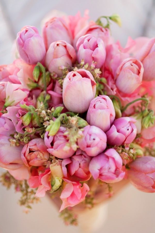 wunderschöne-blumenstrauß--tulpen-pflanzen-die-tulpe-tulpen-aus-amsterdam-tulpen-bilder-tulpen-kaufen