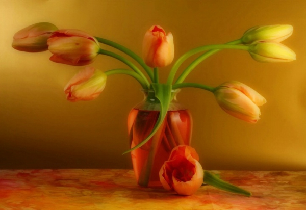 wunderschöne-französische-tulpen-in-einer-herrlichen-vase